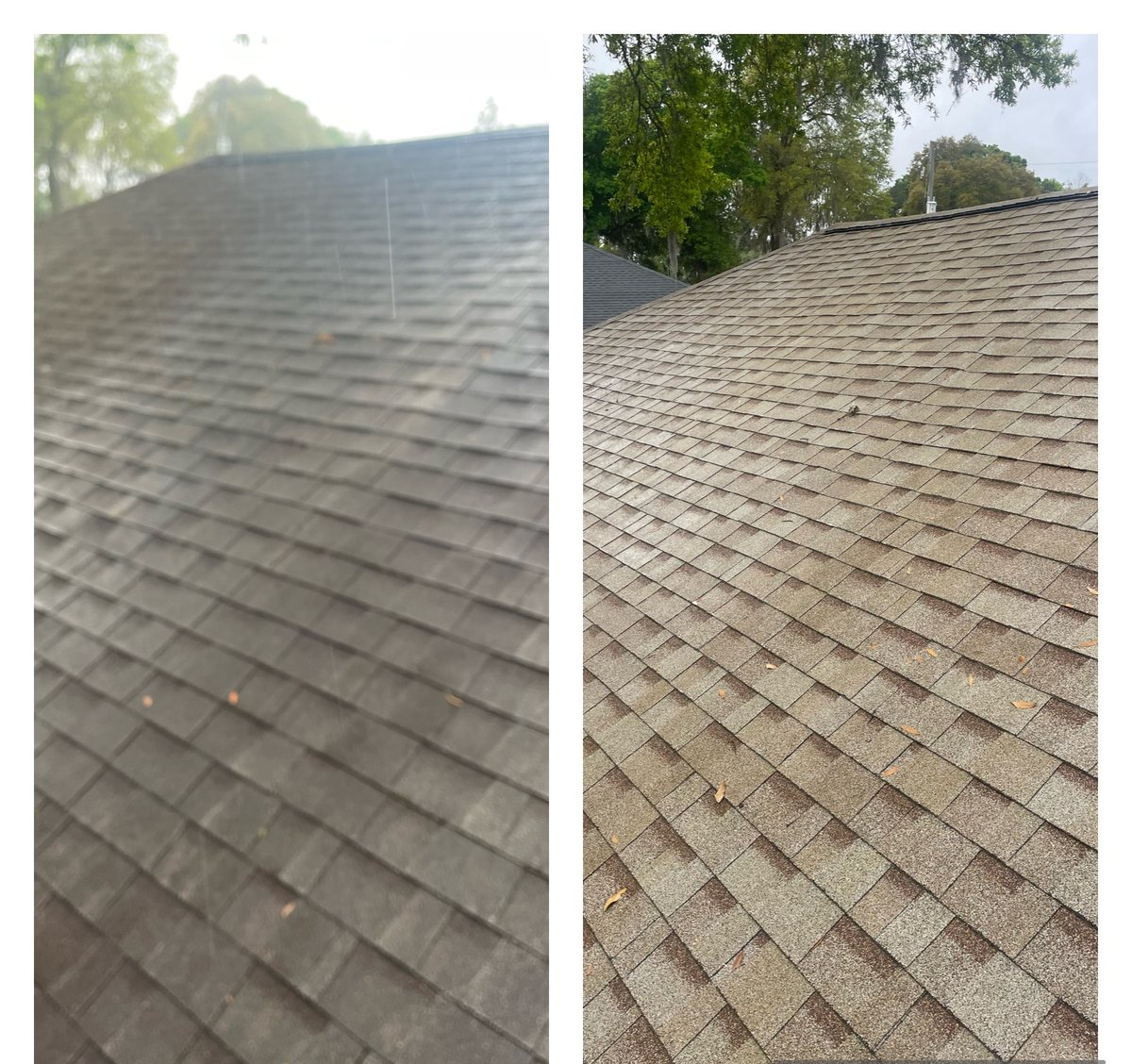 Roof shingles before and after cleaning